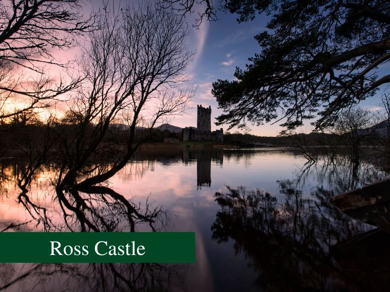 Ross Castle in Killarney National Park