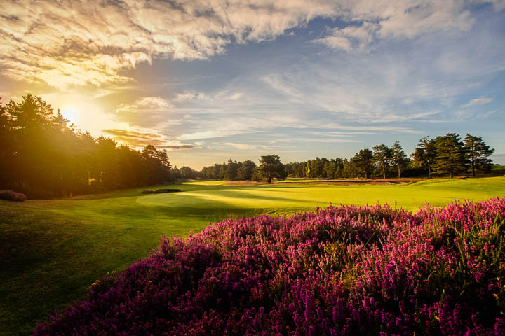 Sunningdale New Golf Course Designed by Harry Colt